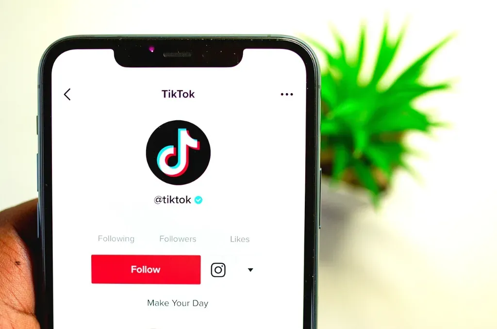 Which Hashtags Should You Use on TikTok